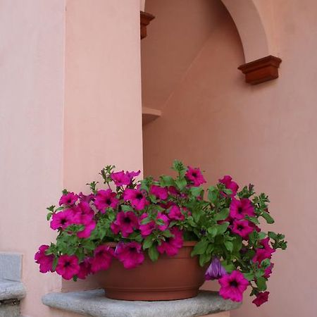 Le Petit Coin De Maison Chante Lune Bed & Breakfast Introd Exterior photo