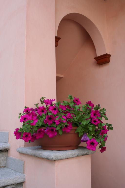 Le Petit Coin De Maison Chante Lune Bed & Breakfast Introd Exterior photo